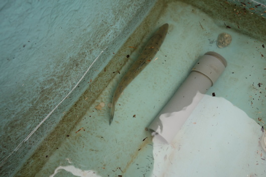 c0232813_21470822.jpg