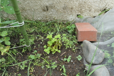 f0369014_09195721.jpg
