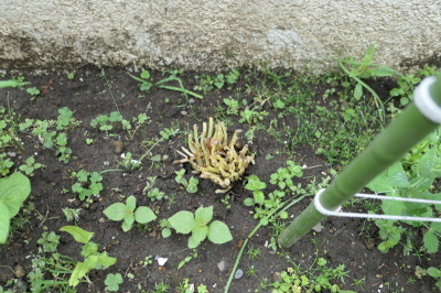 f0369014_09203189.jpg