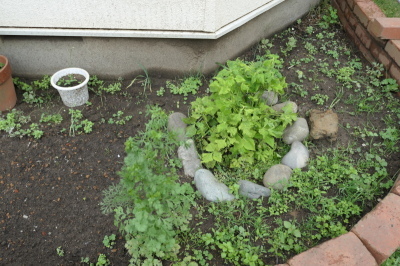 f0369014_09210220.jpg
