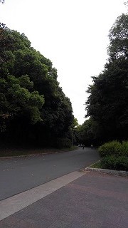 a0172222_23192510.jpg