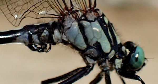 c0369423_21344308.jpg