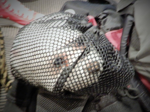 d0118050_12433928.jpg