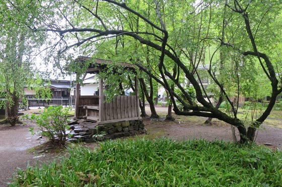 f0202151_23085737.jpg