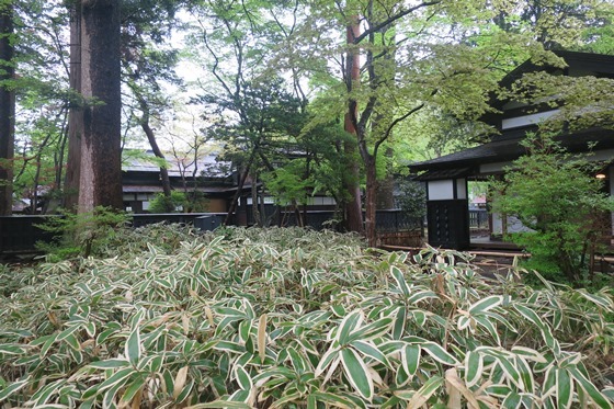 f0202151_23092306.jpg