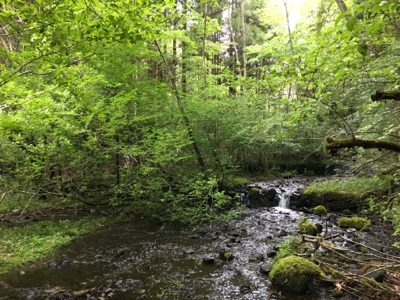 f0226152_09073039.jpg