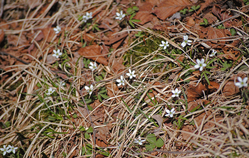 a0001354_23452335.gif