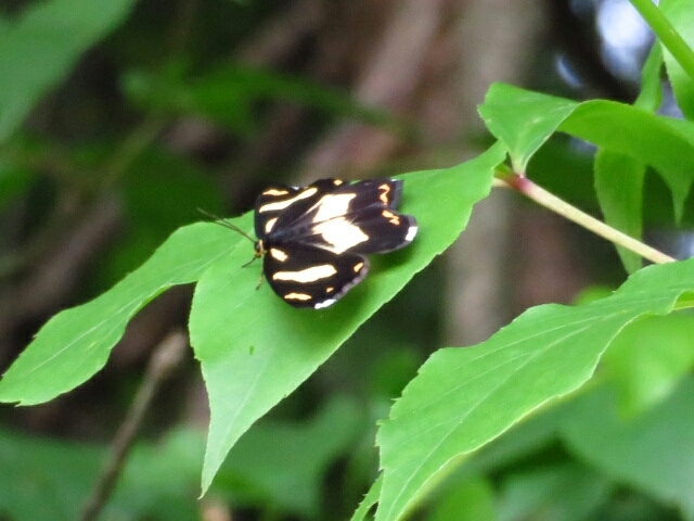 a0018655_15451209.jpg