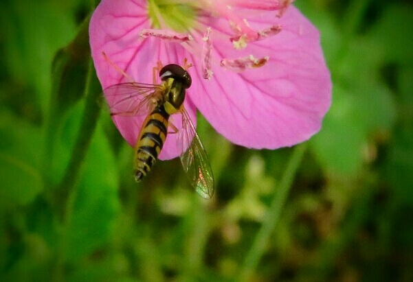 a0018655_15452529.jpg
