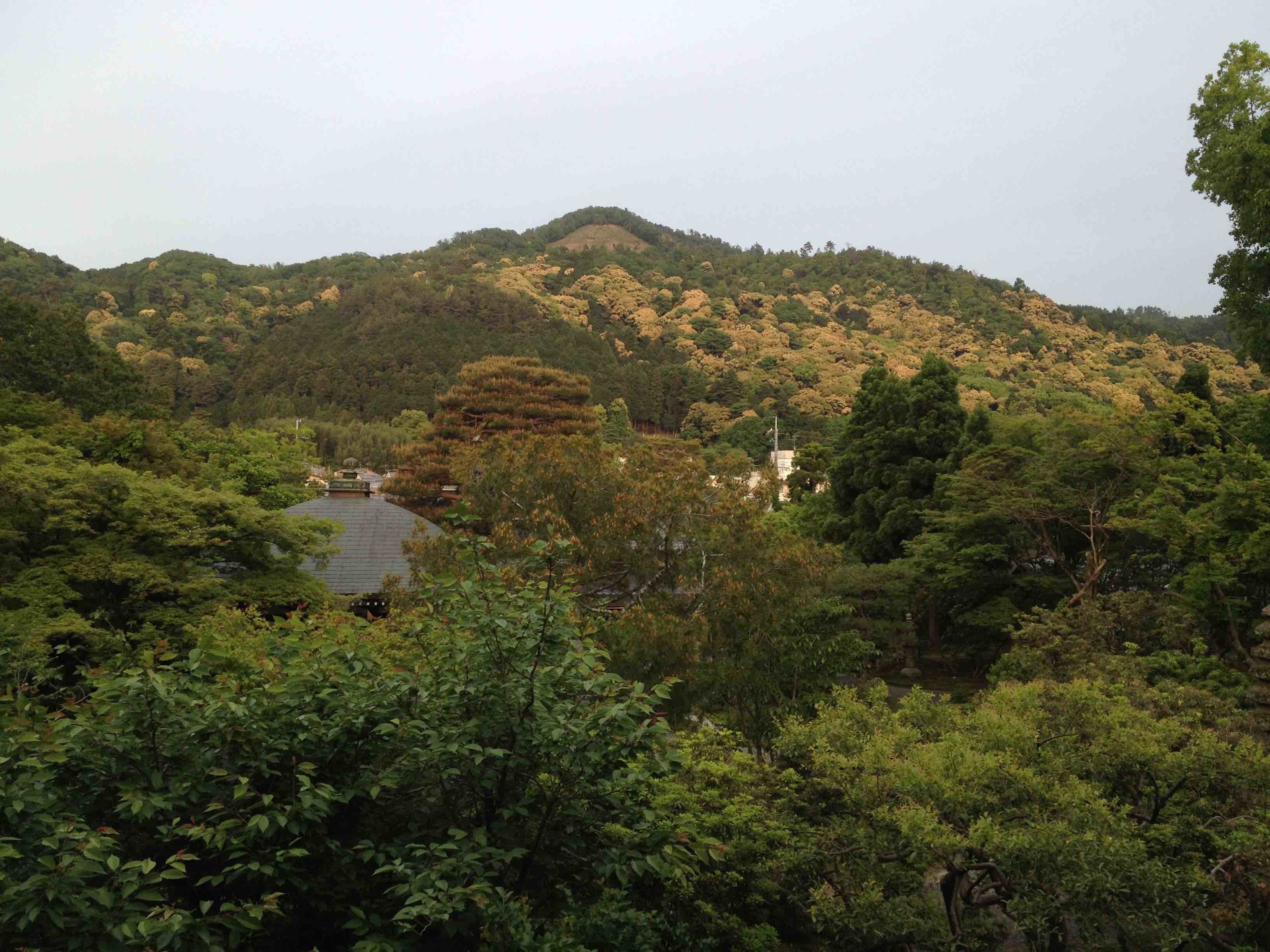 b0180156_06491242.jpg