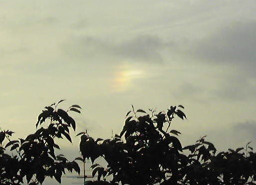 f0055956_825319.jpg