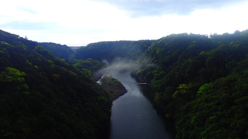 b0160957_10440920.jpg