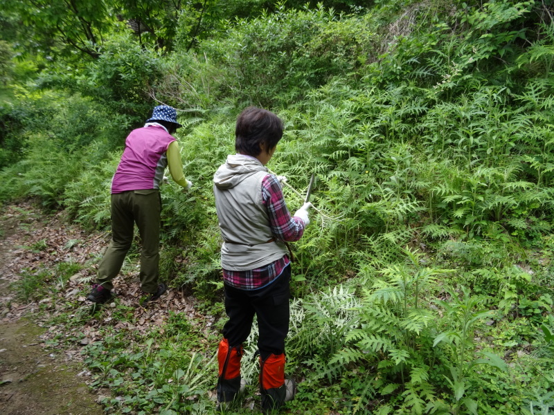 c0108460_22060214.jpg