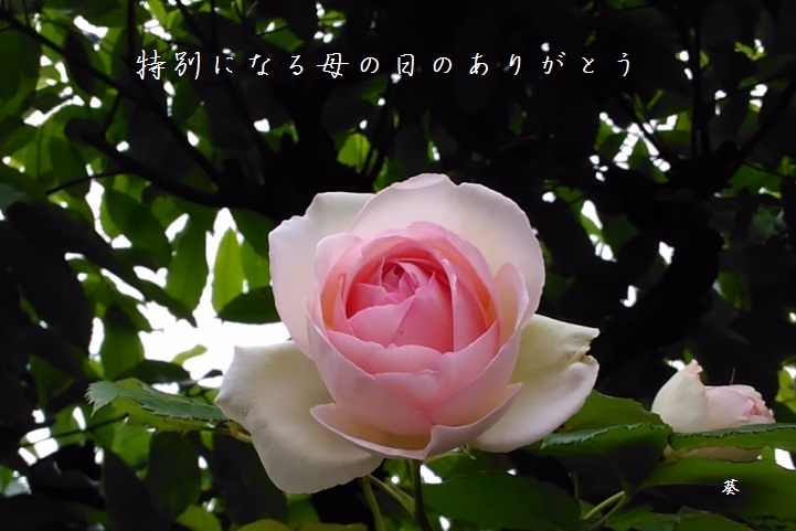 f0379160_08284091.jpg