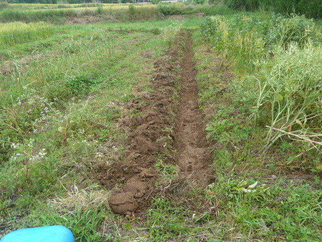 e0090662_09050864.jpg