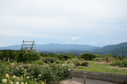 c0186463_15550975.jpg