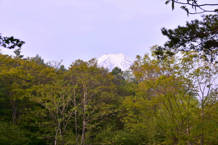 a0307264_22132129.jpg
