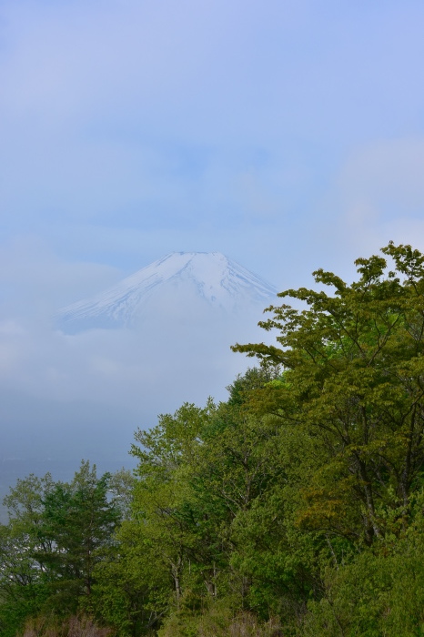 a0307264_22155630.jpg