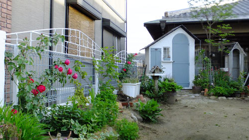 f0260167_06553262.jpg