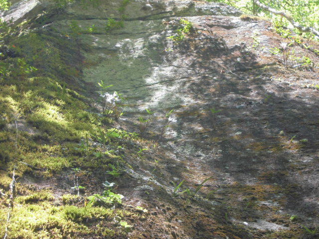 f0318967_21451216.jpg