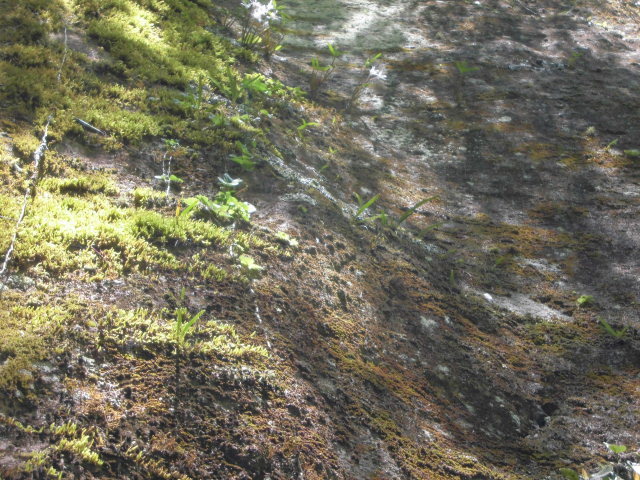 f0318967_21452062.jpg