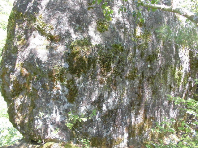 f0318967_21455612.jpg