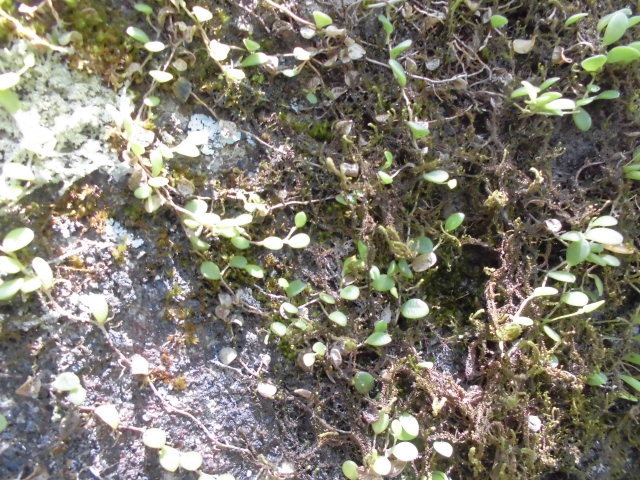 f0318967_21461344.jpg