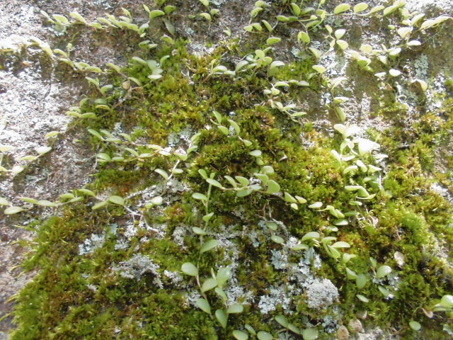 f0318967_21461853.jpg