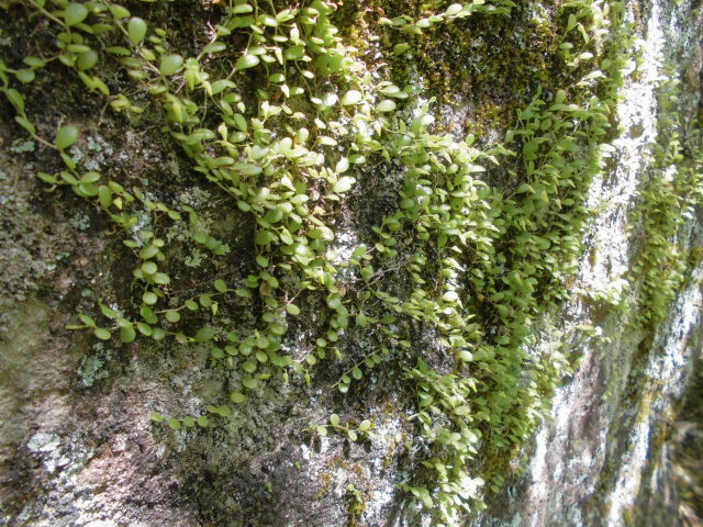 f0318967_21462384.jpg