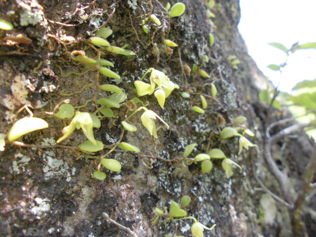 f0318967_21463043.jpg