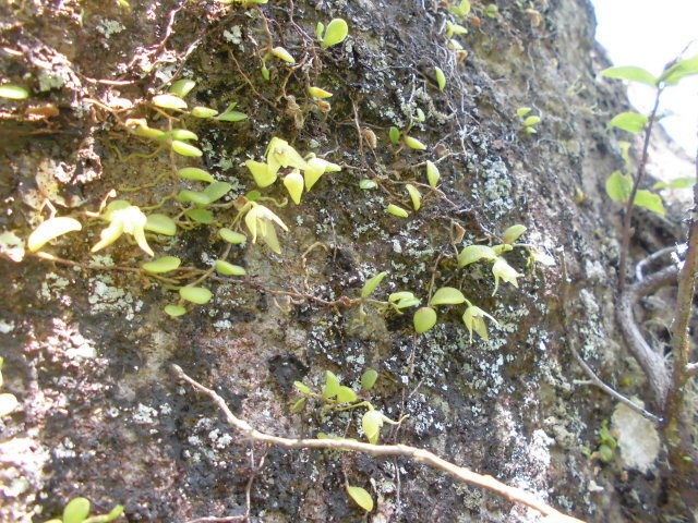 f0318967_21463659.jpg