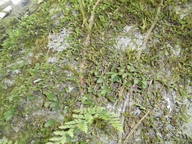 f0318967_21465580.jpg