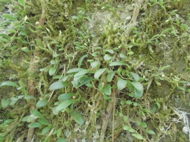 f0318967_21470932.jpg