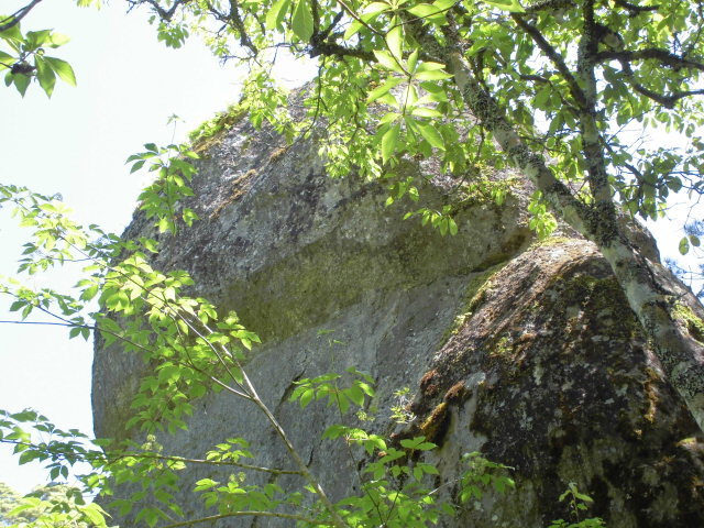 f0318967_21472087.jpg