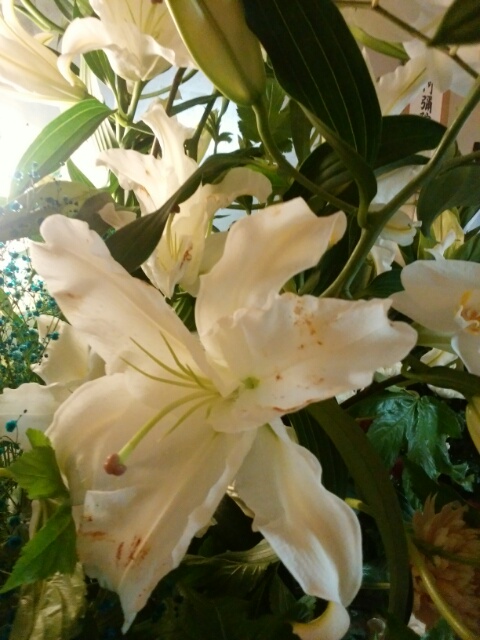 f0200871_23592244.jpg
