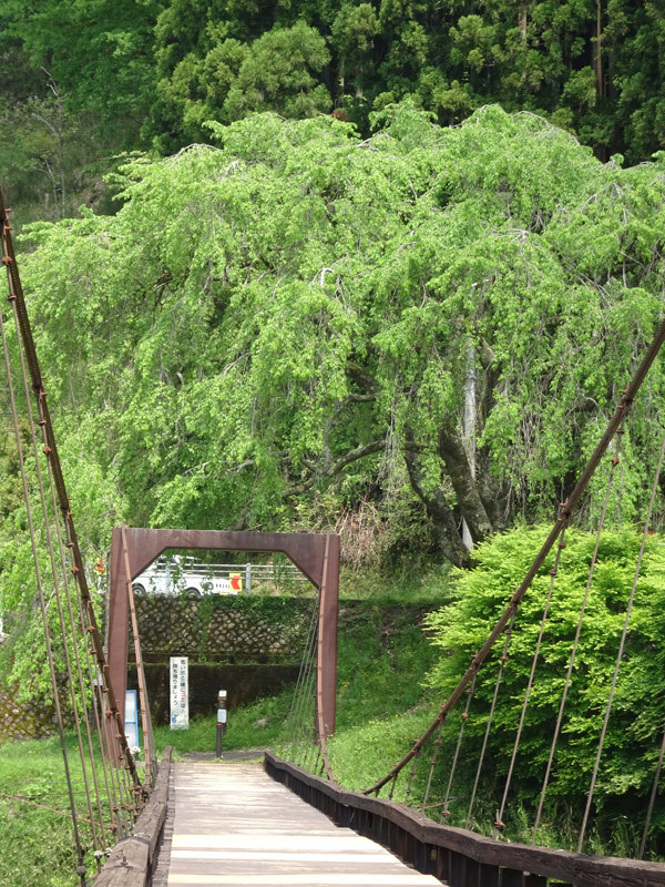 c0107075_22072164.jpg