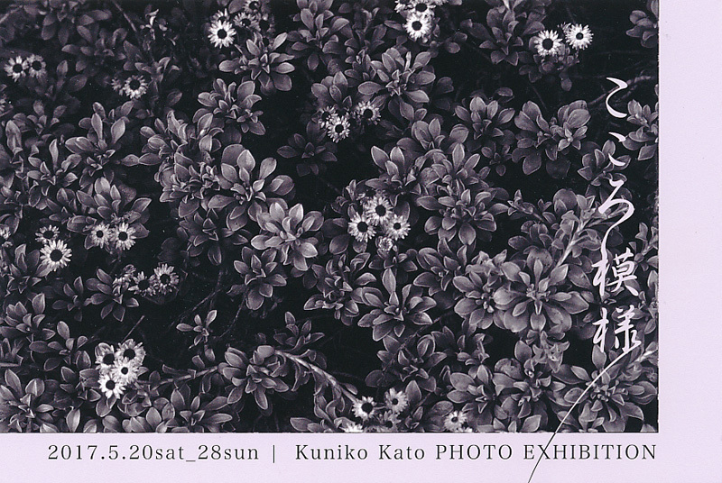 c0131875_20510892.jpg