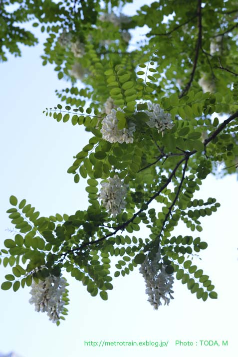 b0102780_655240.jpg