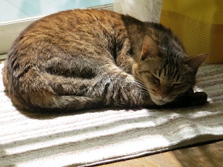 e0130185_101308.jpg