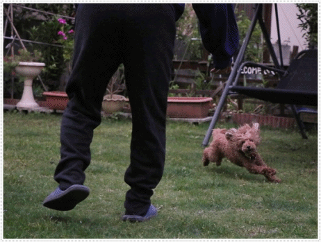 b0175688_20302076.gif
