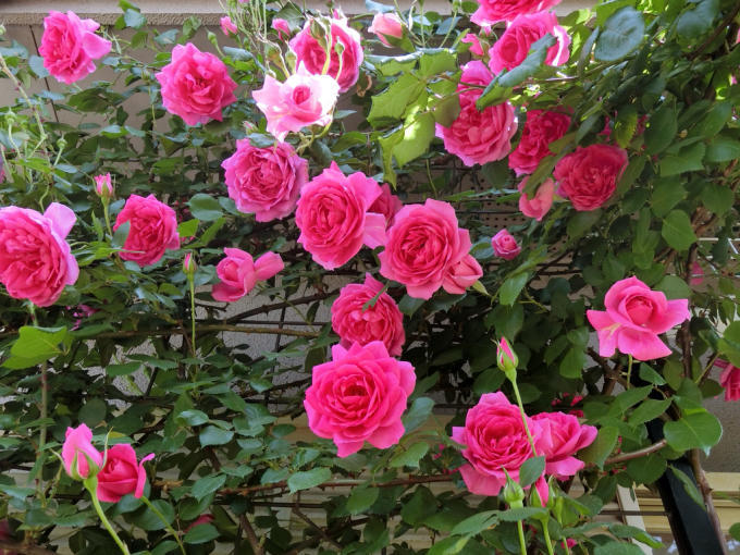 c0139090_22175838.jpg