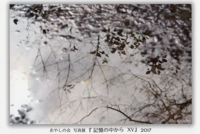 c0152690_23010442.jpg