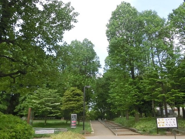 a0319693_8192633.jpg