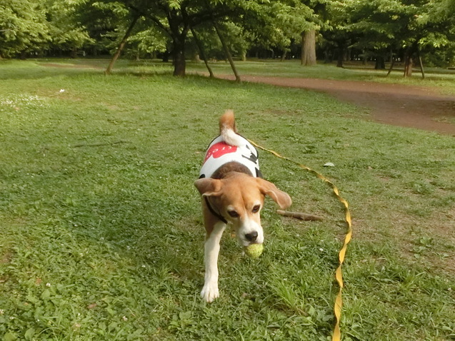 a0319693_8311663.jpg