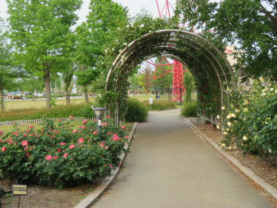 c0125501_22002450.jpg