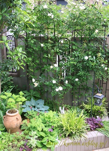 a0123003_09214417.jpg
