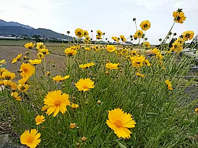 f0231709_19244193.jpg