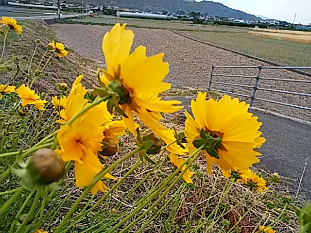 f0231709_19250315.jpg