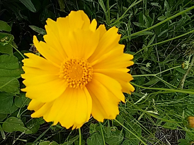 f0231709_19253351.jpg
