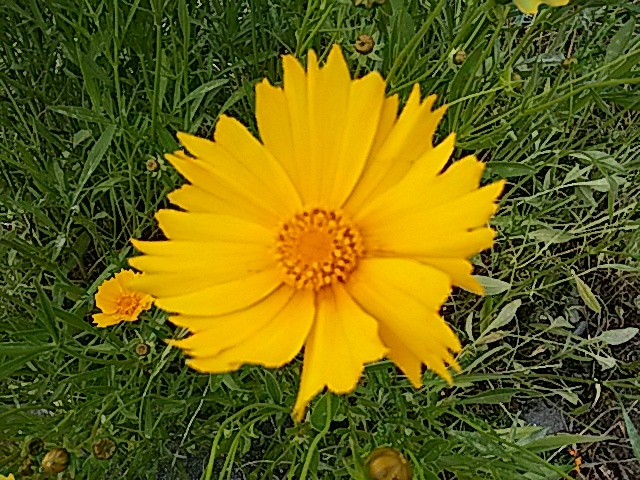 f0231709_19262576.jpg